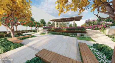 Landscaped Garden